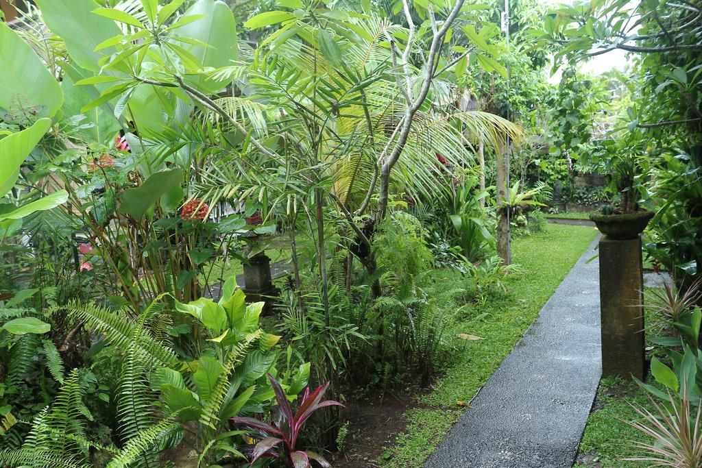 Karang Mesari Ubud Guest House Eksteriør bilde