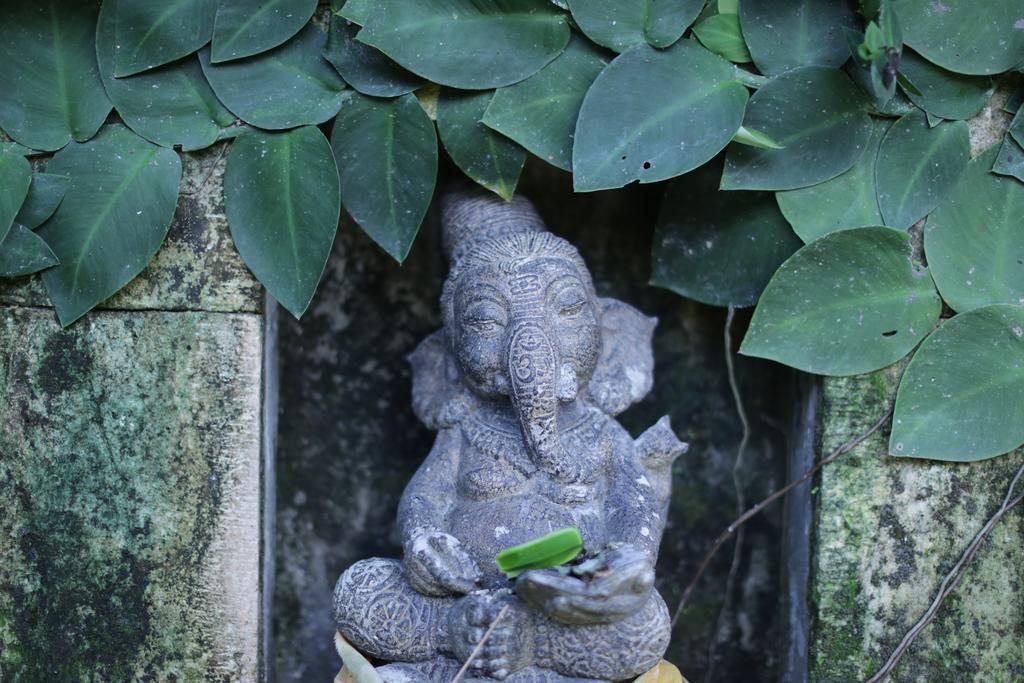 Karang Mesari Ubud Guest House Eksteriør bilde