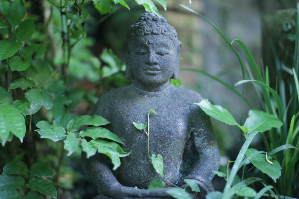 Karang Mesari Ubud Guest House Eksteriør bilde