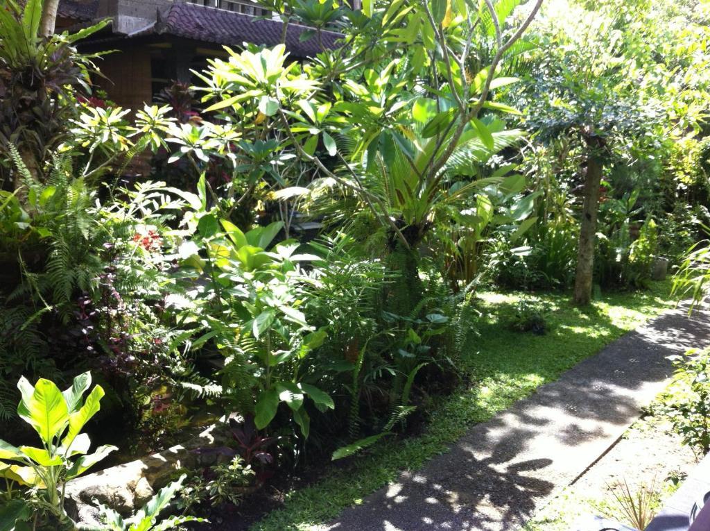 Karang Mesari Ubud Guest House Eksteriør bilde