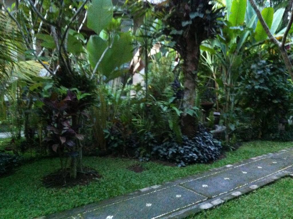 Karang Mesari Ubud Guest House Eksteriør bilde
