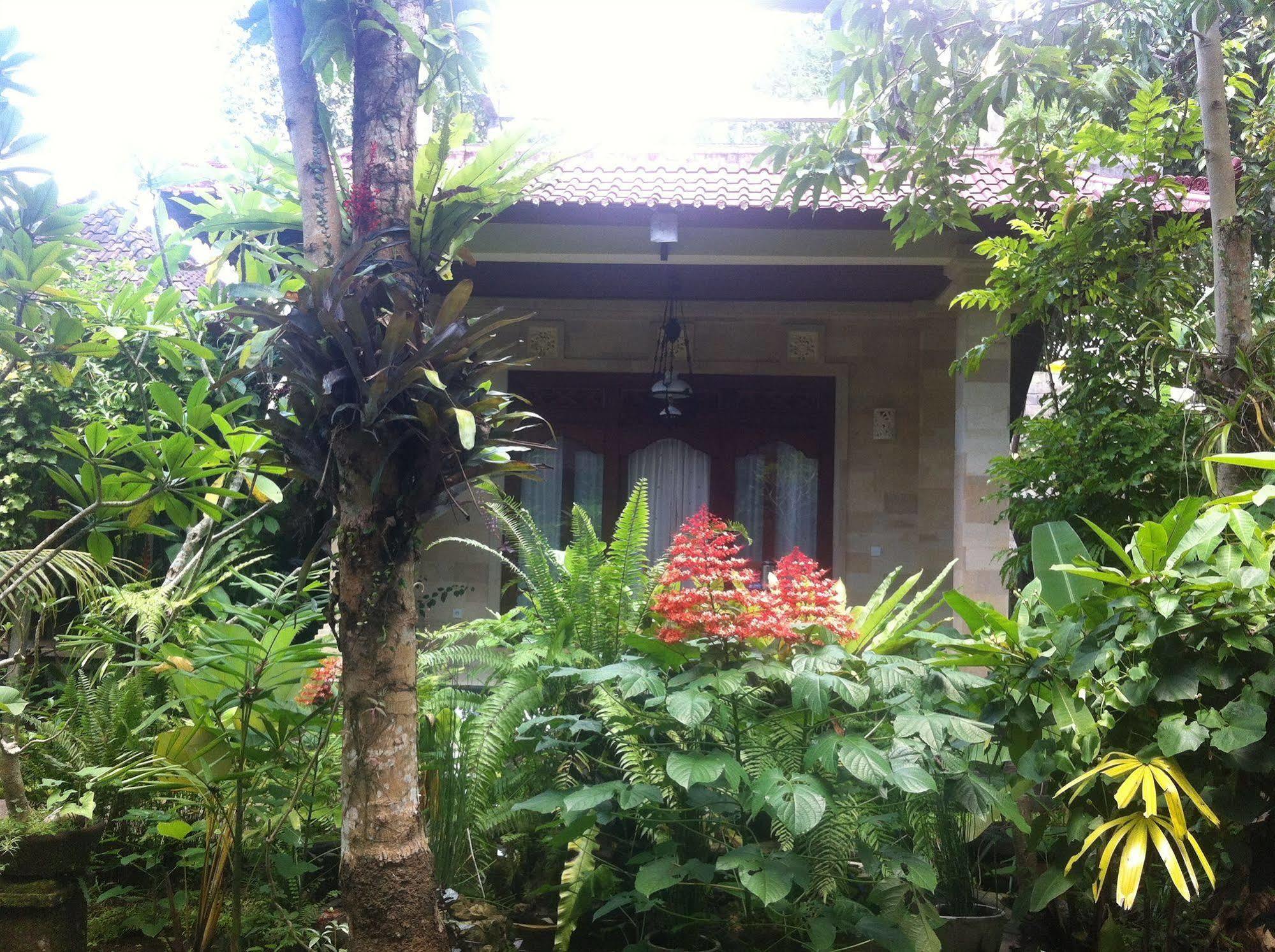 Karang Mesari Ubud Guest House Eksteriør bilde